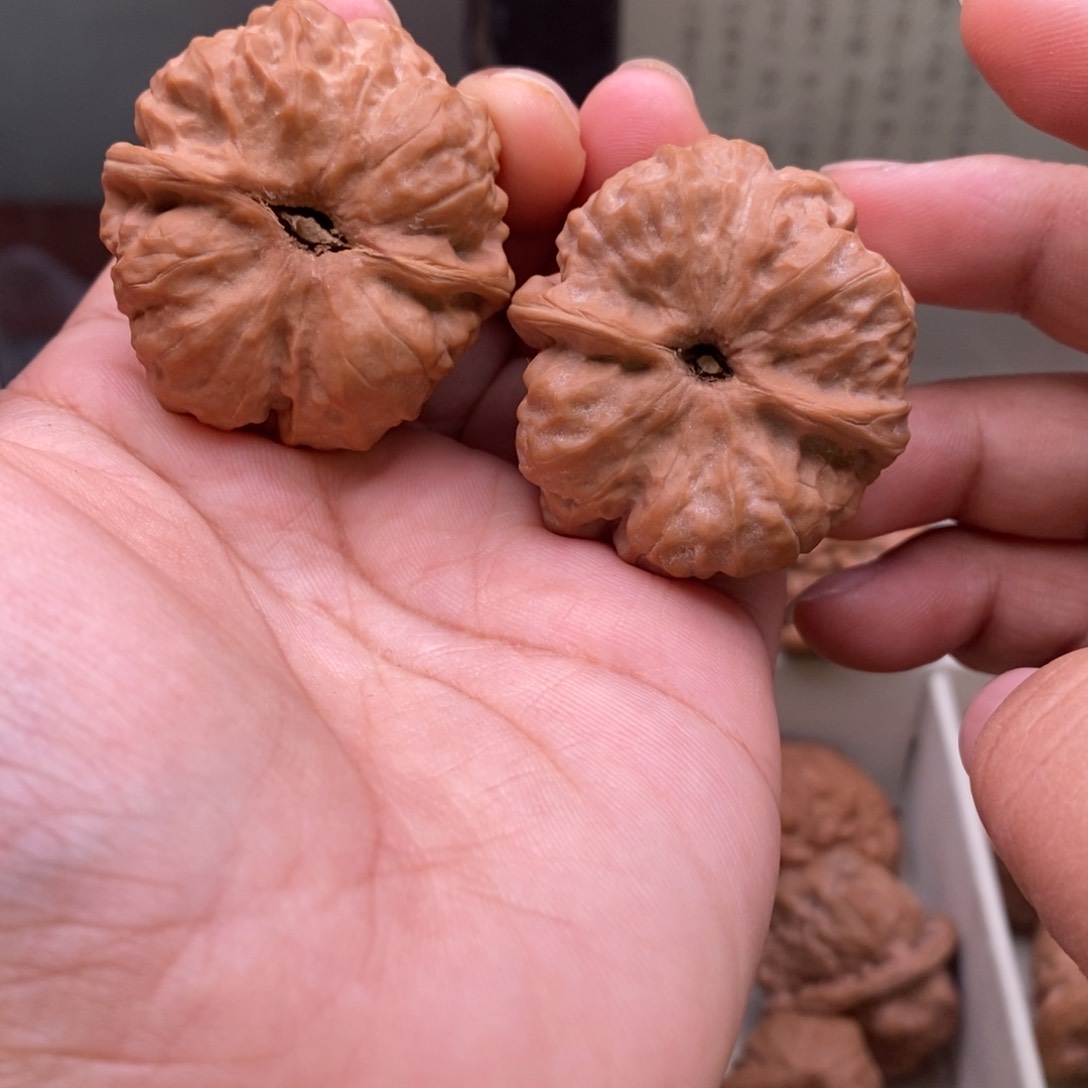 文玩核桃把件37蛤蟆头331