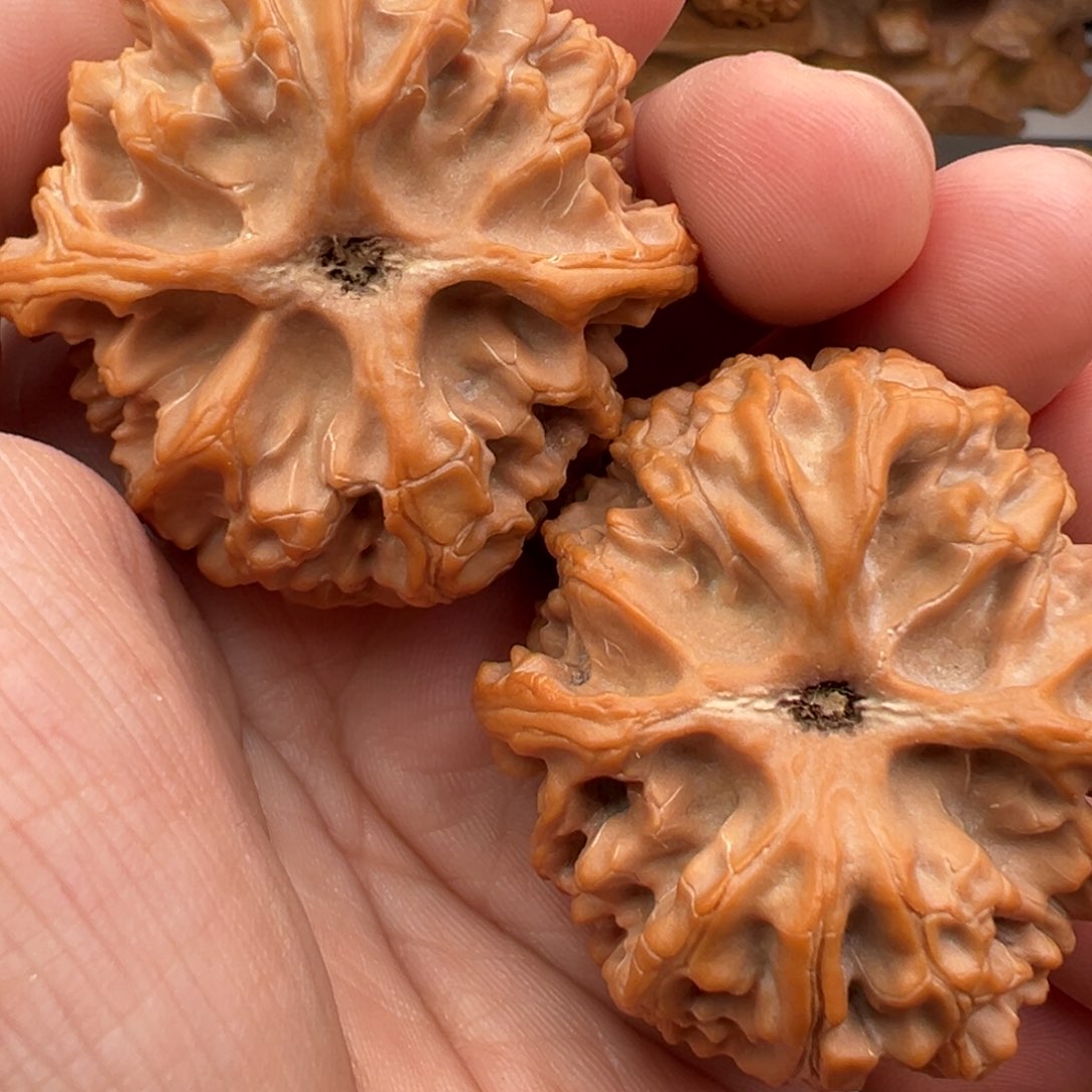 文玩核桃把件苹果45