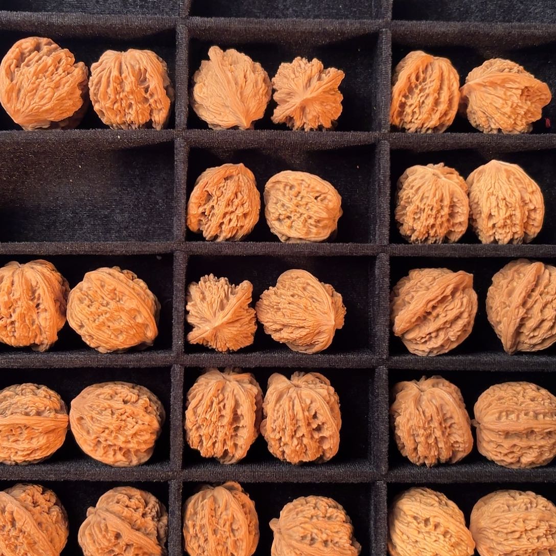 核桃手串/手链55555