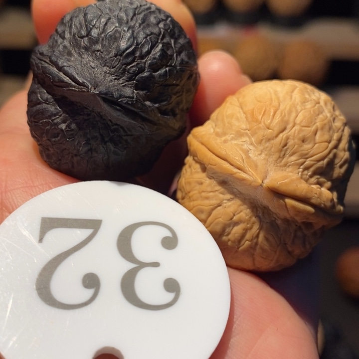 木质类双色蛇皮球34尺寸