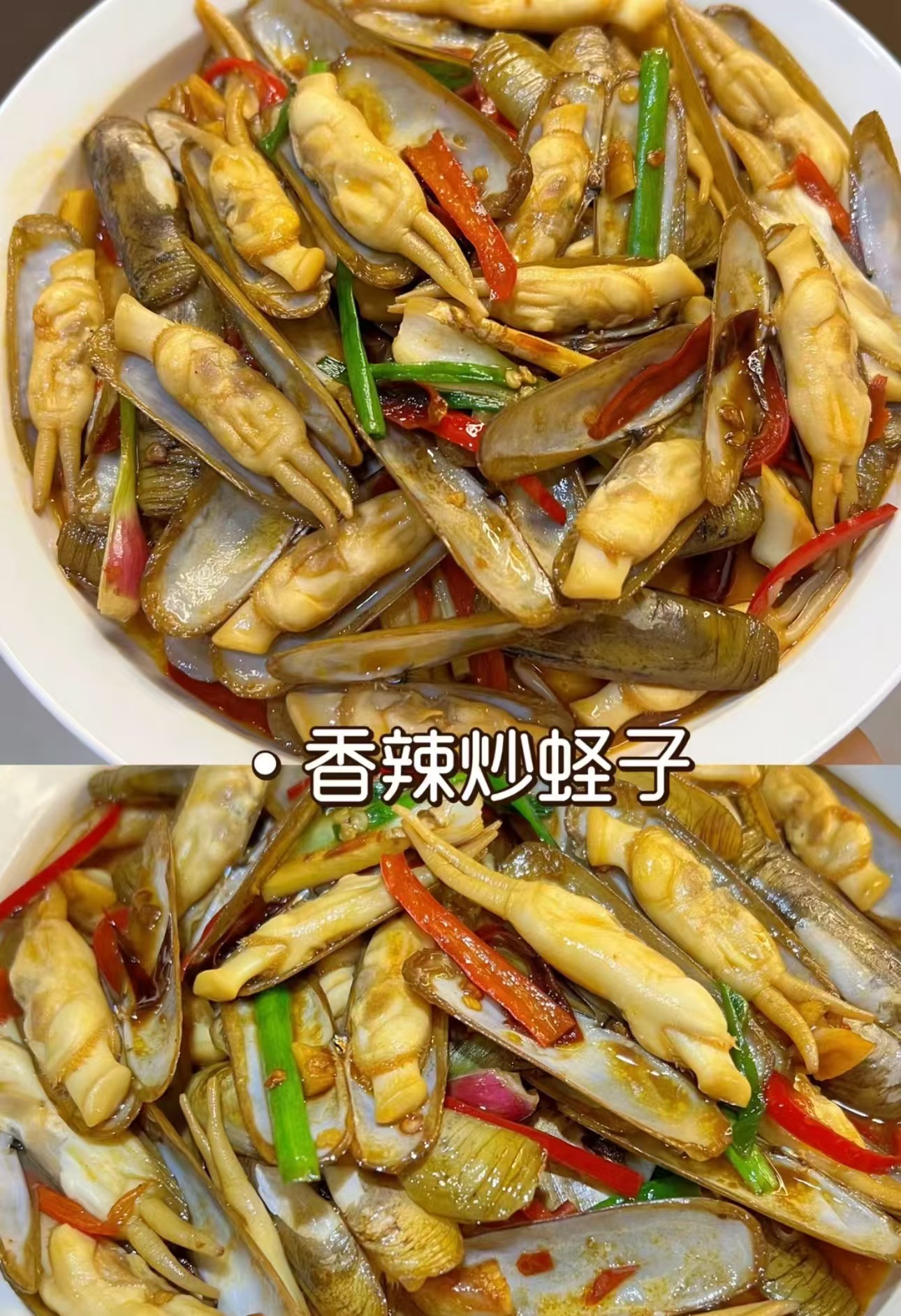 鲜活竹蛏子1斤装