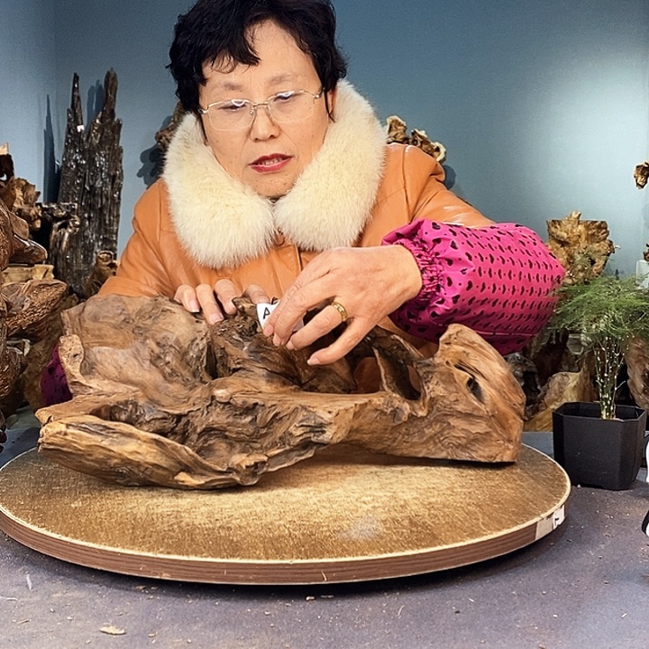 茶盏何*402株木的随行的根艺