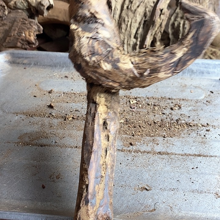 黄花梨/降香黄檀弗*斯