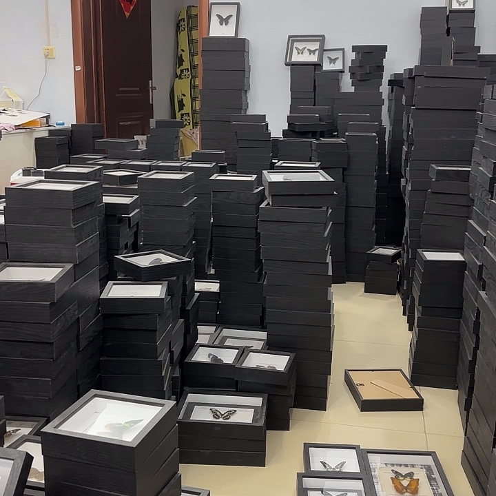 十寸新背景100块钱的大蓝