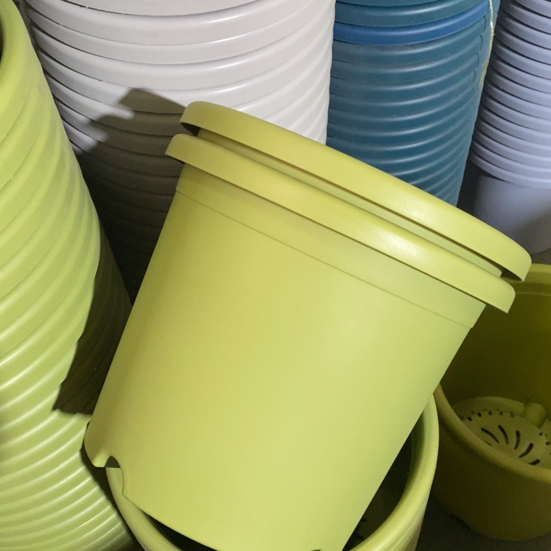 树脂特价5#无拖果绿6