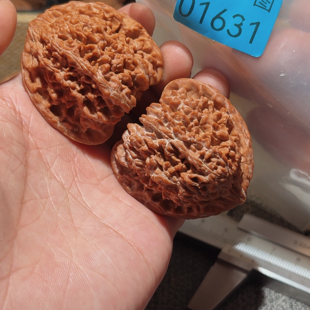 把件文玩核桃满天星