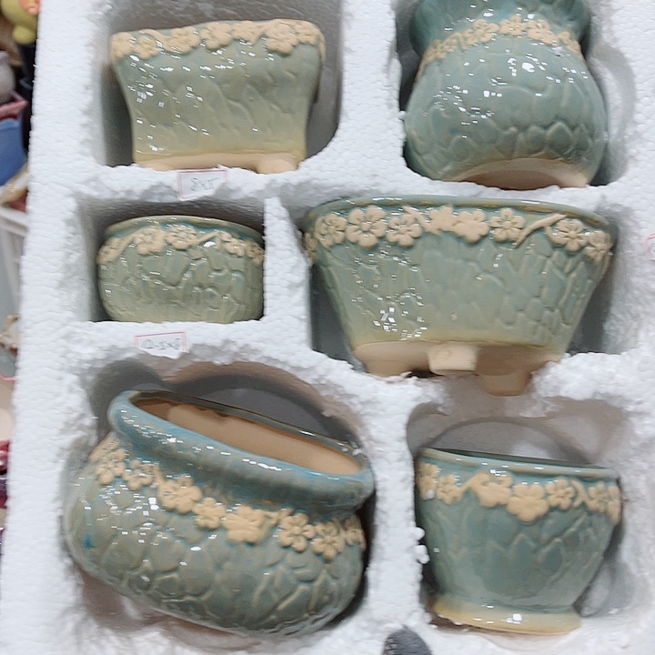 红陶正品数量有限