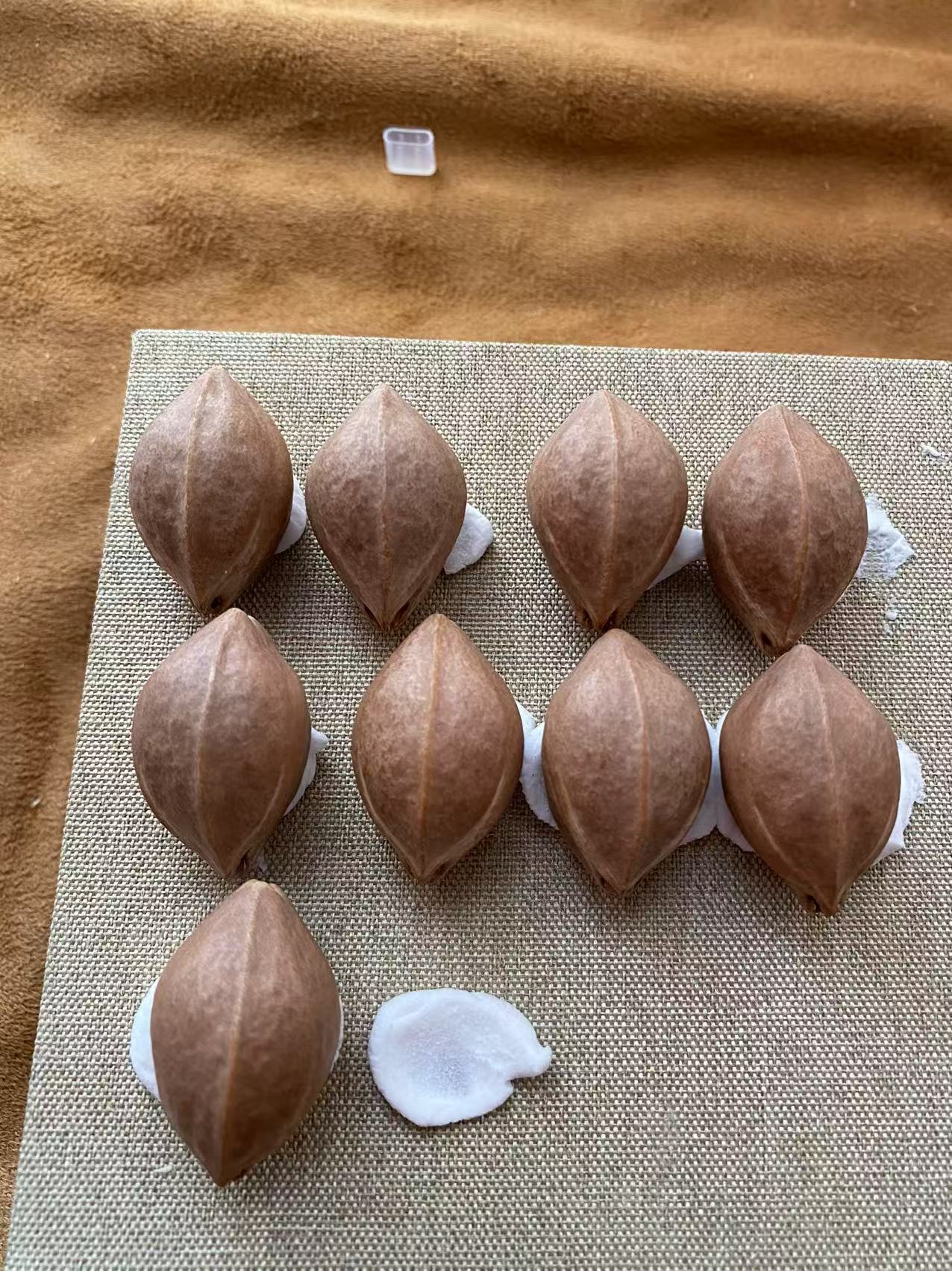 原生态梅林铁核精挑饱满核形红润壁厚油性足1.9*3.0