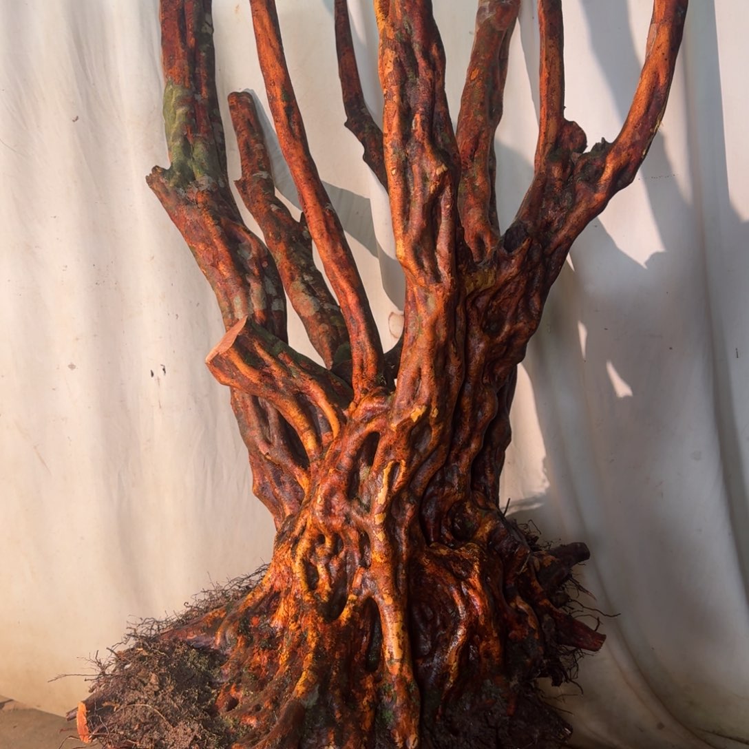 宏***虎7777777777777777777