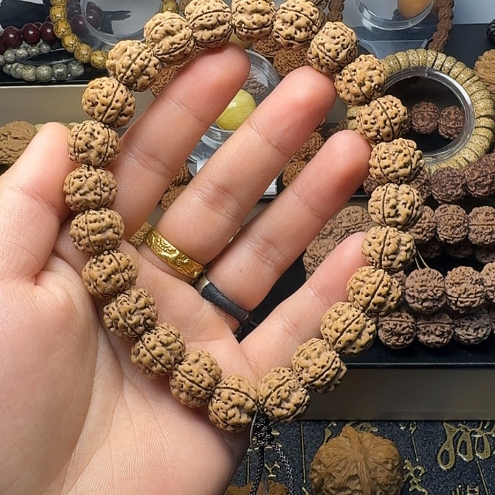 金刚菩提吊坠原生态至尊梅花双龙16