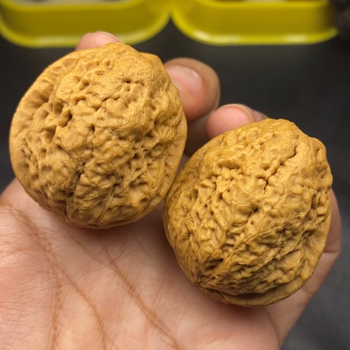 吊坠文玩核桃42尺脑纹金蟾