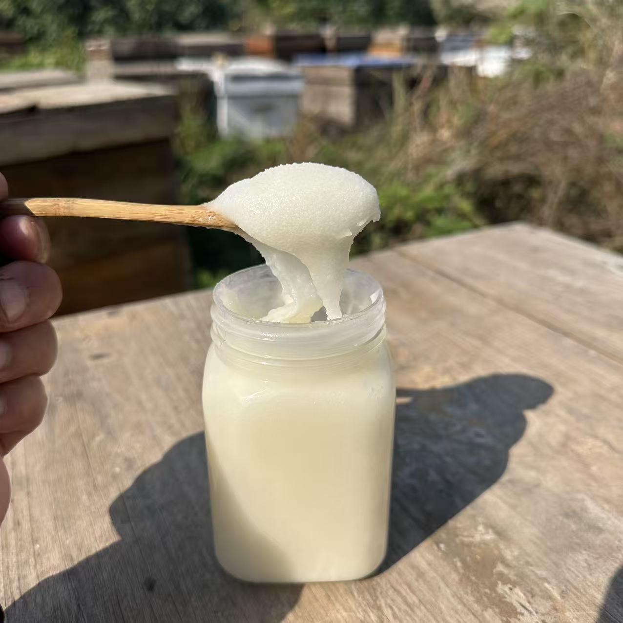 枸杞蜂蜜青海格尔木高海拔蜜源