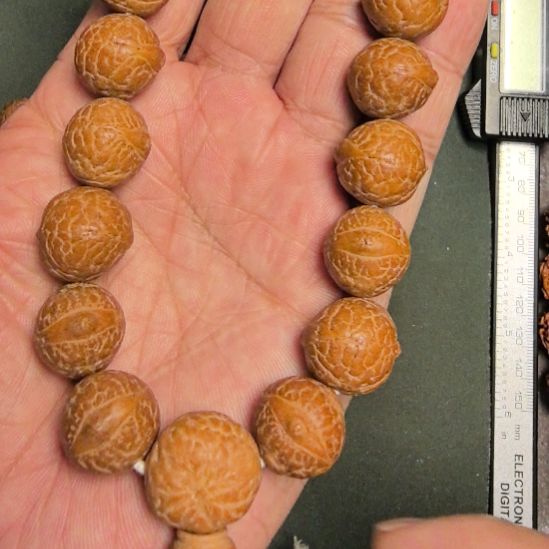 把件凤眼菩提凤眼菩提手把件，16左右尺寸，原皮原色的