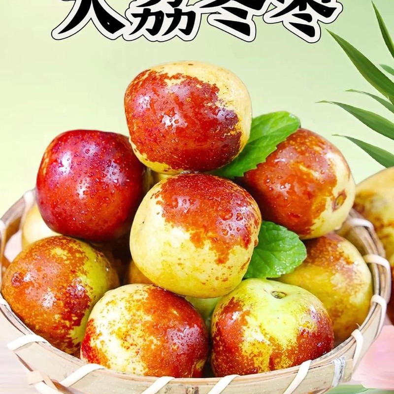 （离石小时达免配送费）大荔冬枣500g