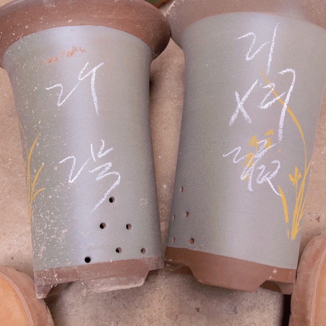 紫砂2号…………………………………………