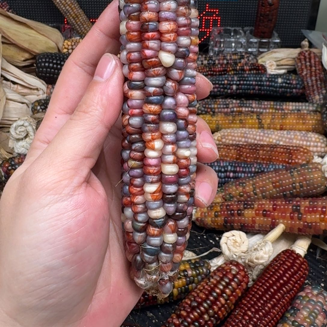 柏香籽/百香籽吊坠微****园