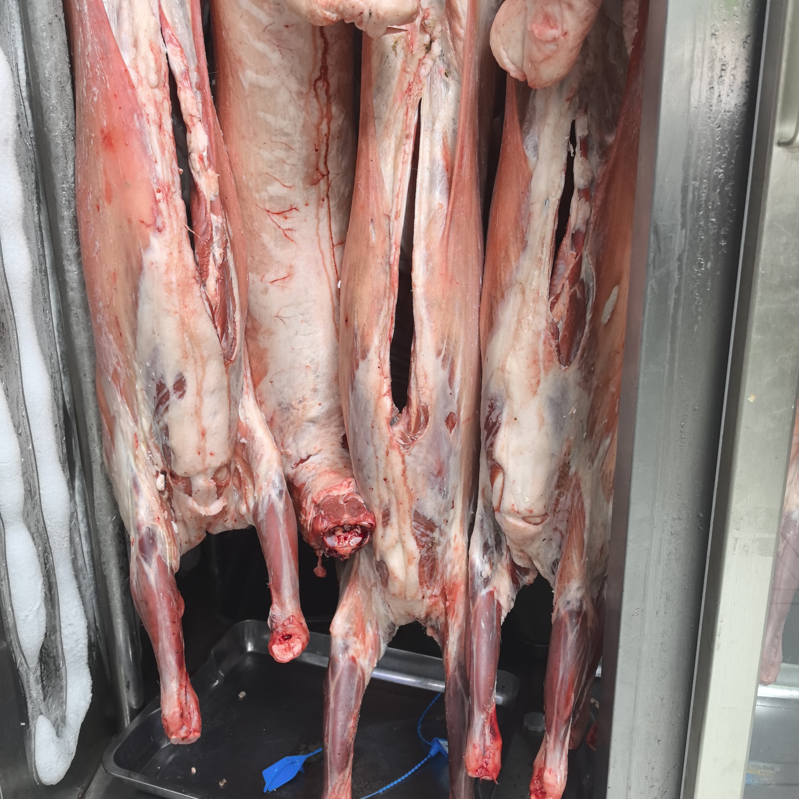 龙腾达滩羊肉清炖块5斤