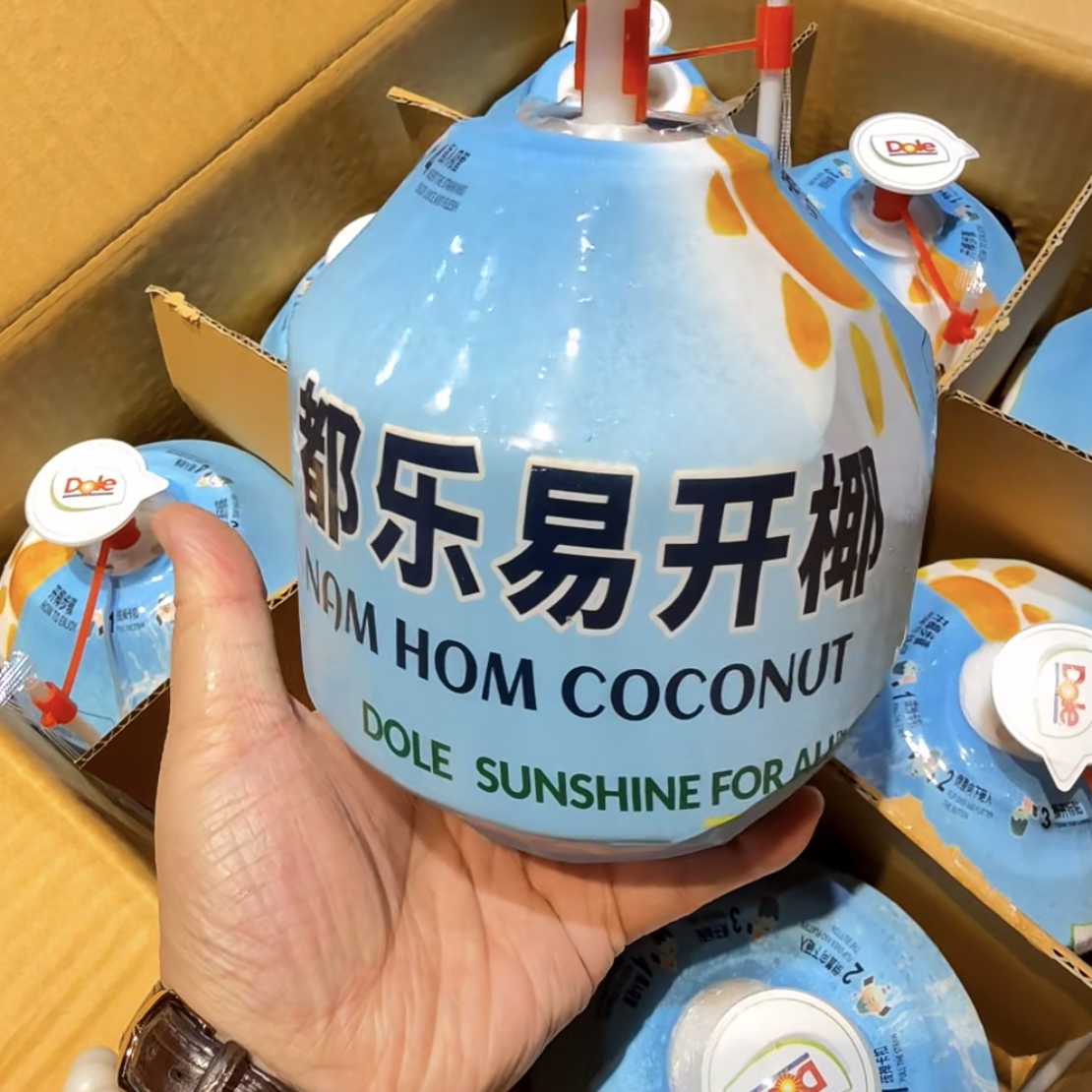佳农青香椰椰子一个