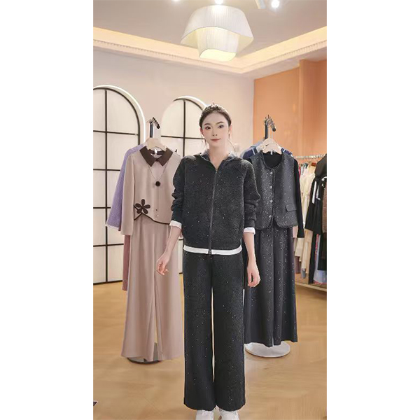 L9728 2025年秋季新款时尚气质休闲百搭上衣+宽松阔腿裤