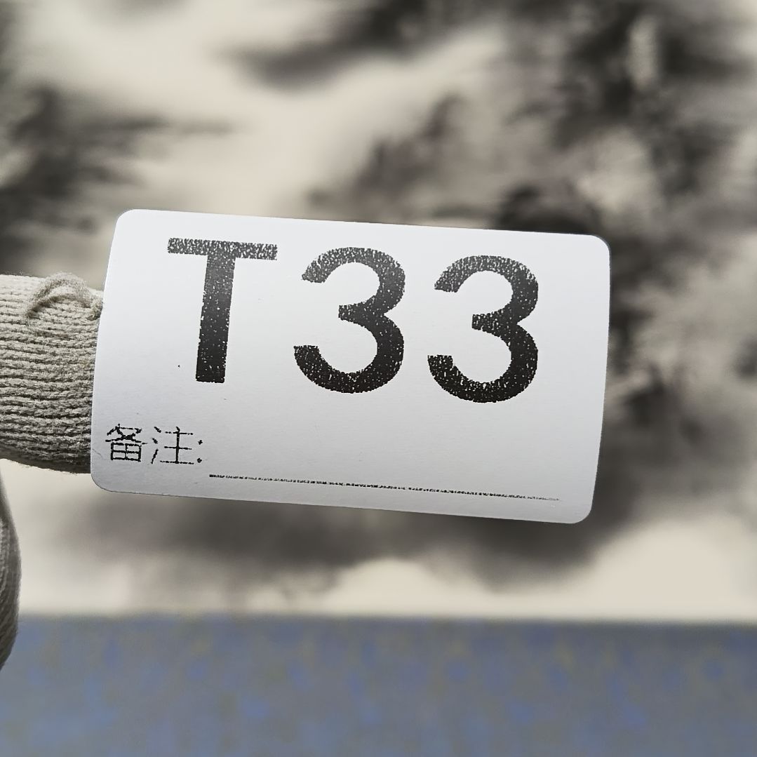 李***伟水彩回流精品字画画