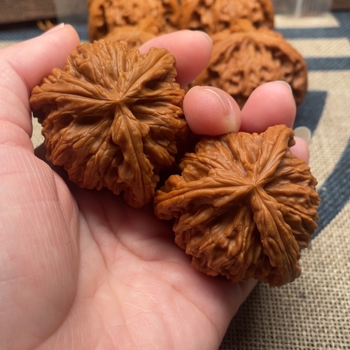 简***乐核桃白狮子43核桃