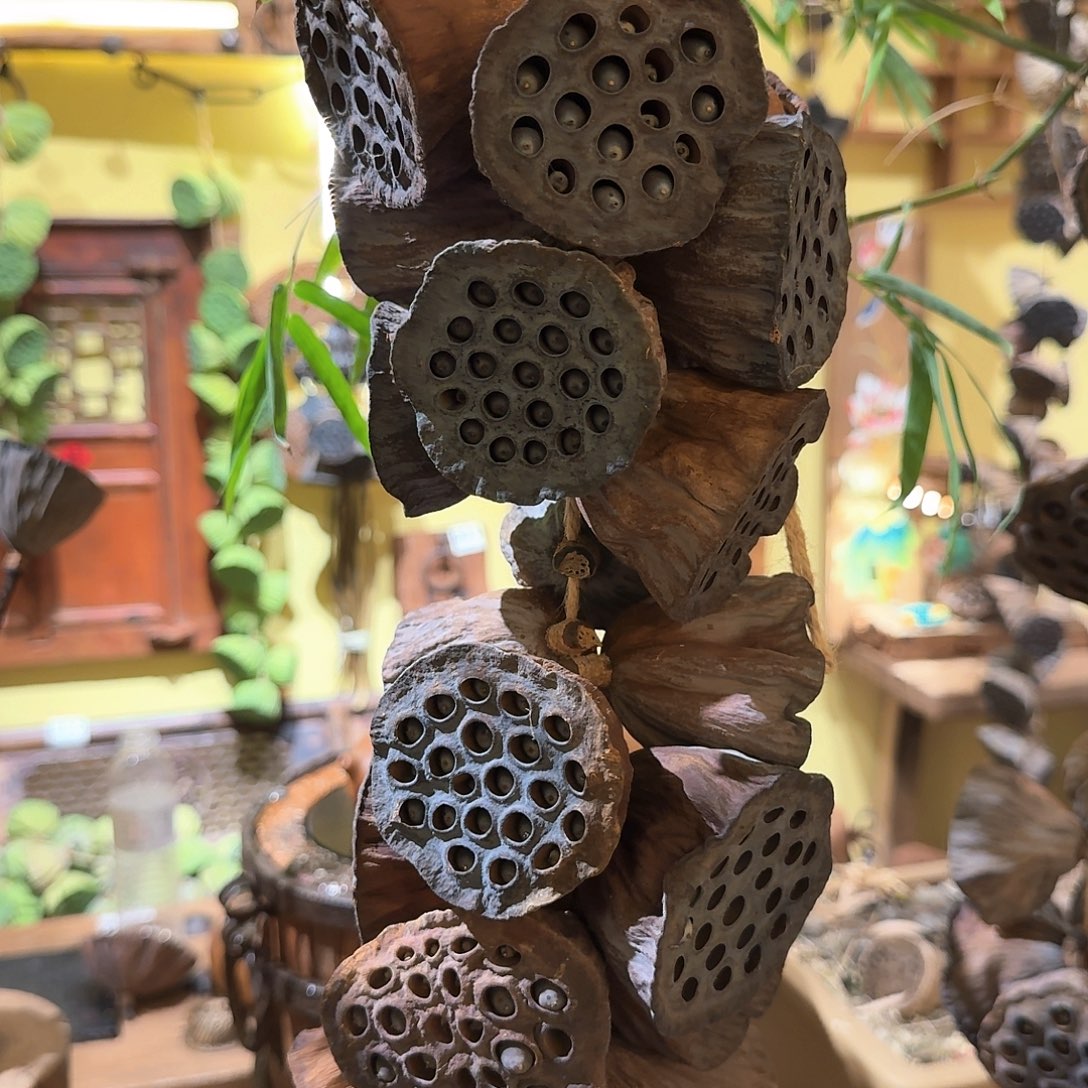 杨***梅小的干的一串10个