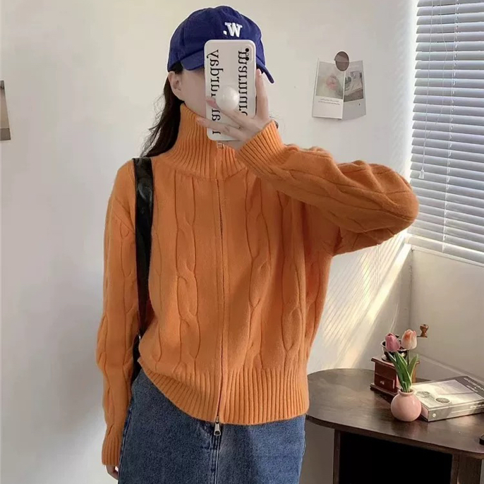 韩系立领麻花毛衣女秋冬设计感慵懒风针织短款开衫外套