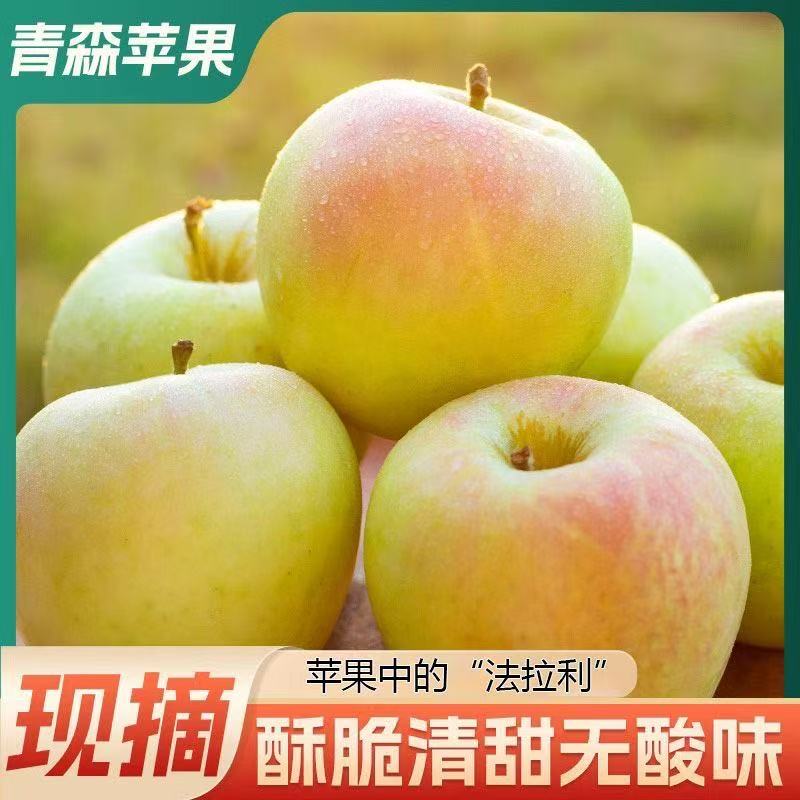 山东栖霞青森明月苹果2025当季采摘4.5斤