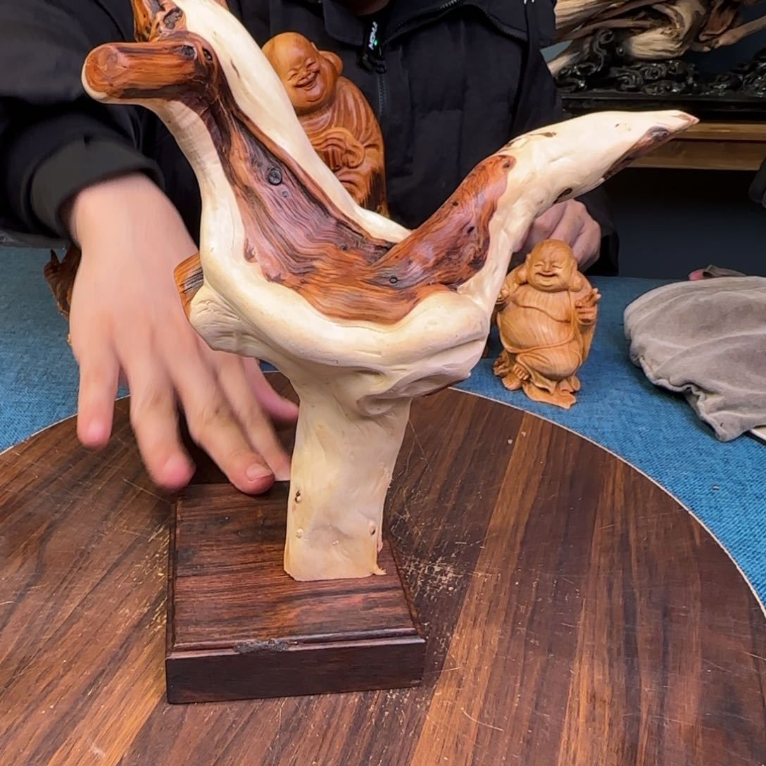 柏木（崖柏）关注一下