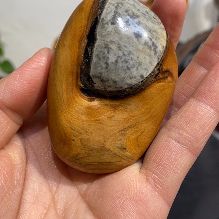 柏木大*水11111111111111111