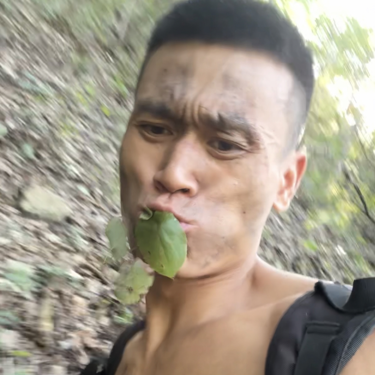 刘教野生（淫羊藿）