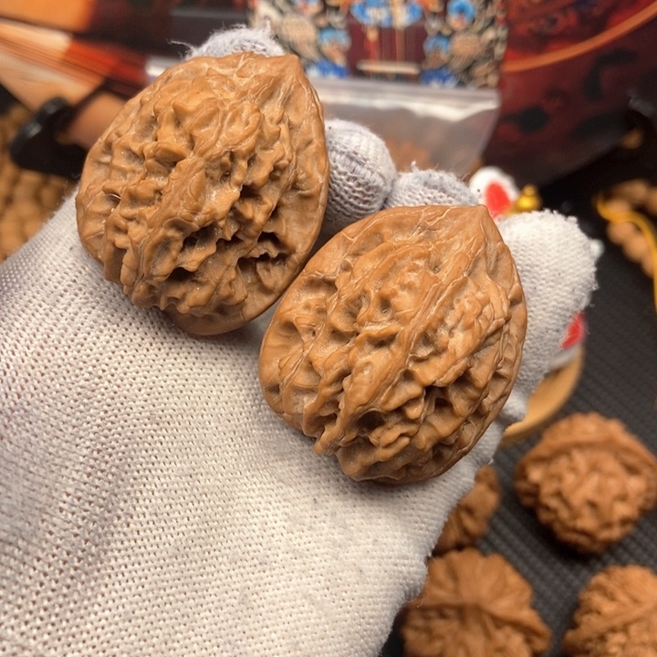 H**?秦岭野生鸡心核桃