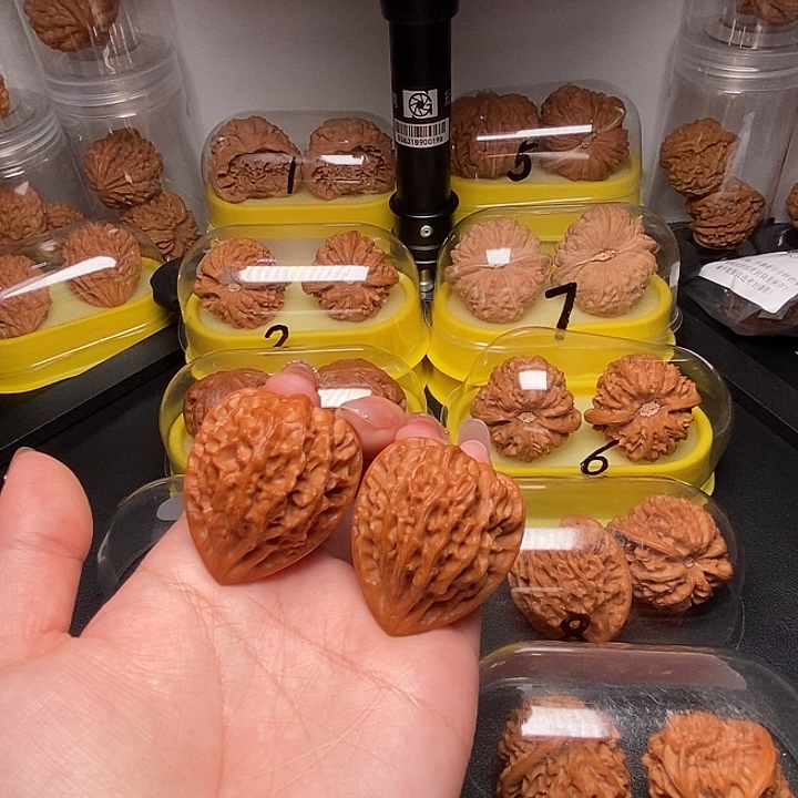 38高尖凹底龙门涧      