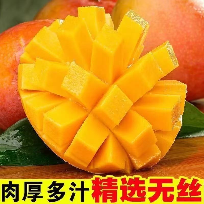 正宗攀枝花彩虹紫芒凯特芒果大果甜芒