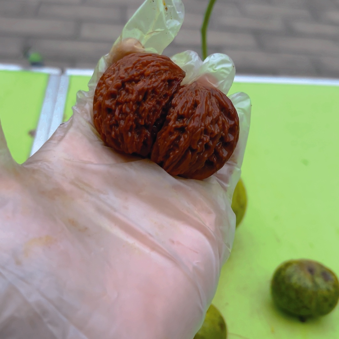 美***步桃木四座楼半壁核桃四座楼的