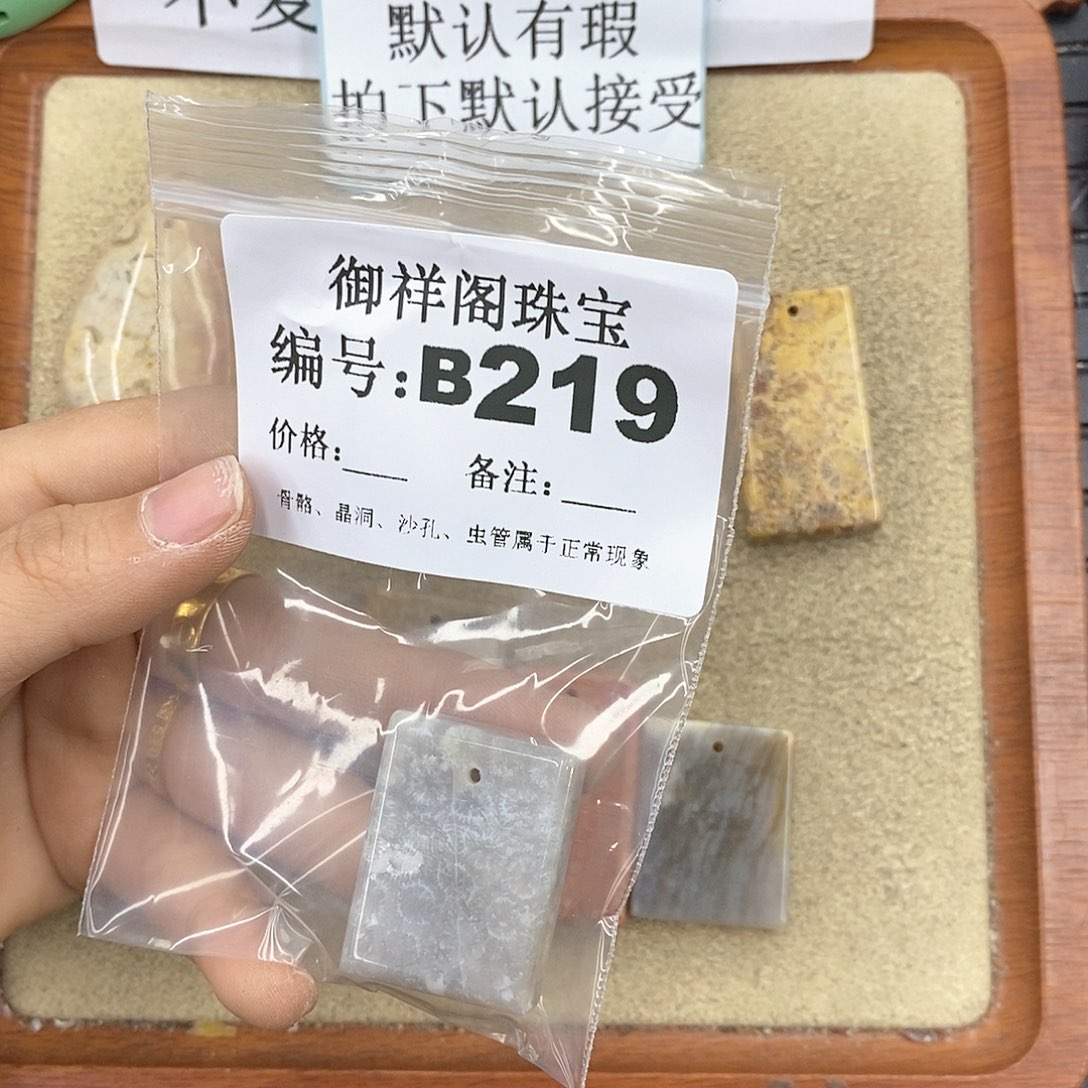 硅化珊瑚（珊瑚玉）颈饰未镶嵌迟*¨