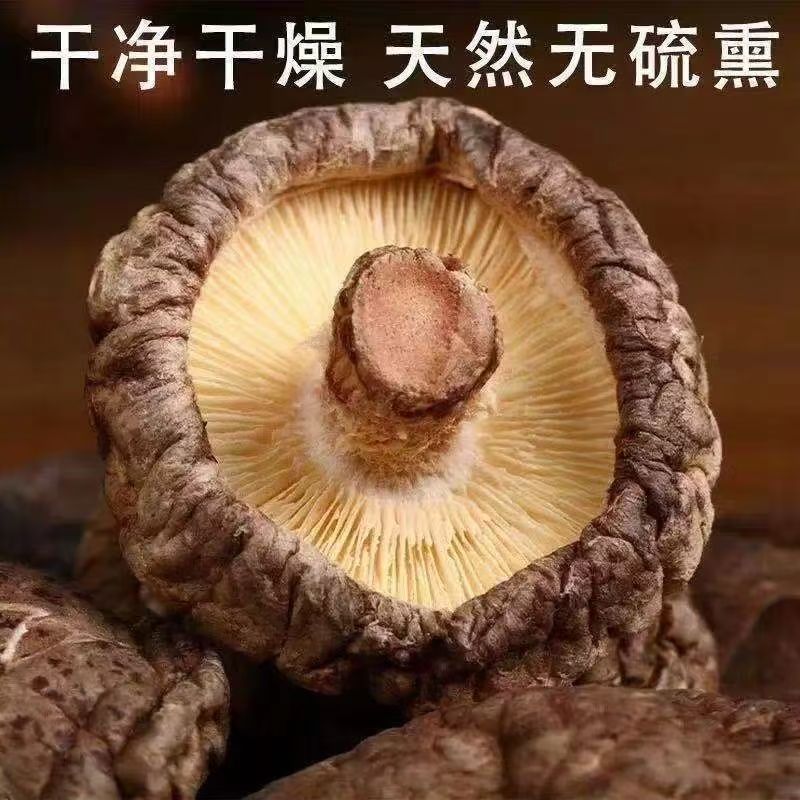 干货香菇肉厚无根新货菌菇农家特产煲汤食材 莲子
