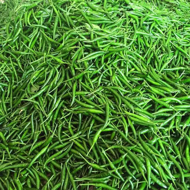 青米椒（辣椒类）约100g辣椒同城配