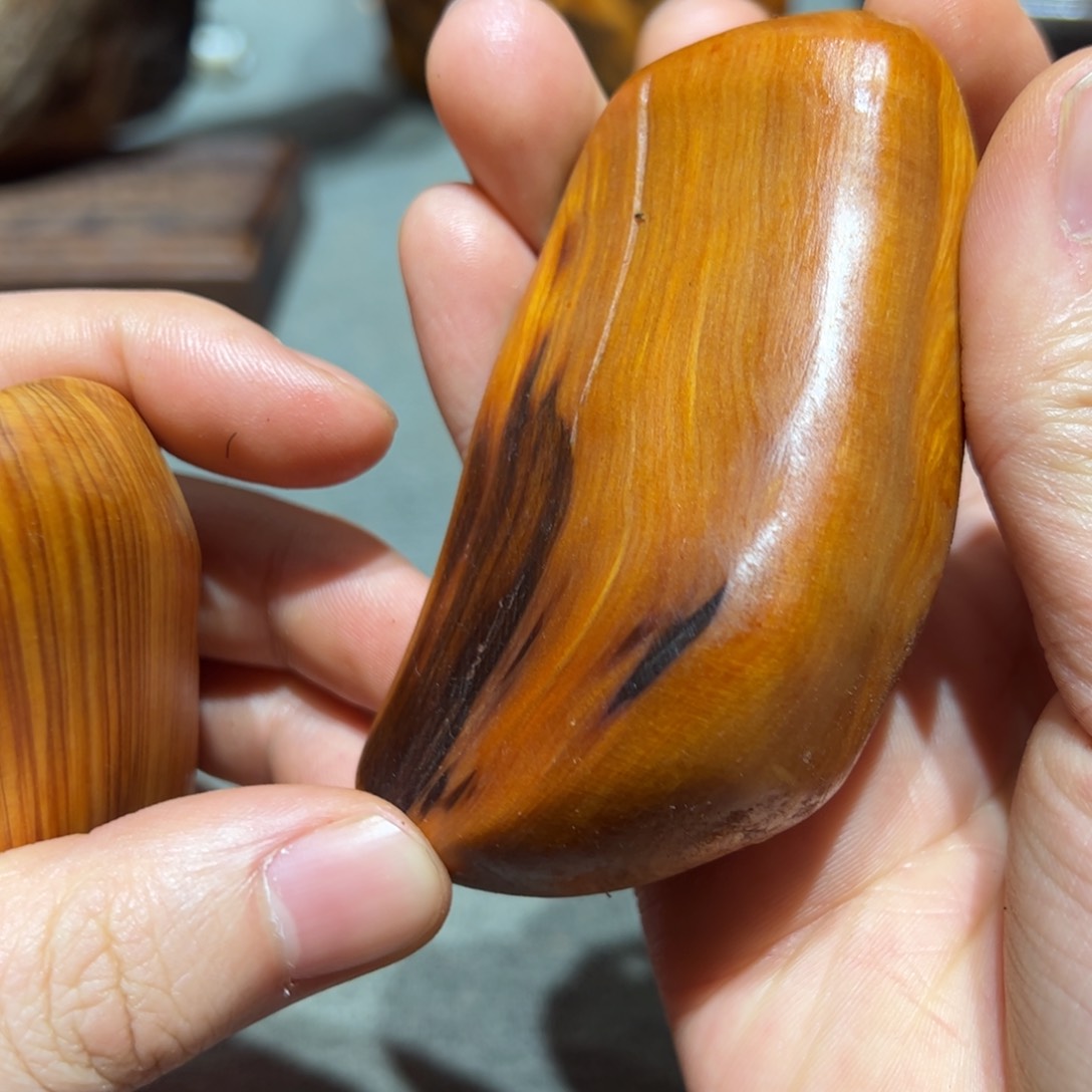 柏木（崖柏）太行崖柏陈化太行