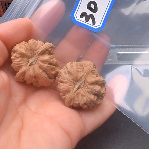 文玩核桃吊坠。*华红宝石