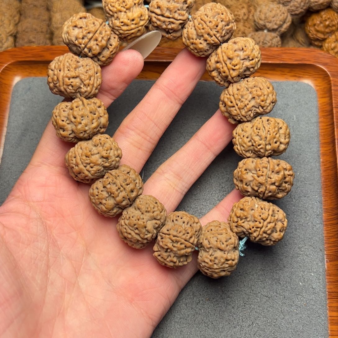 菩提4号尼泊尔大金刚23红皮梅花夹板