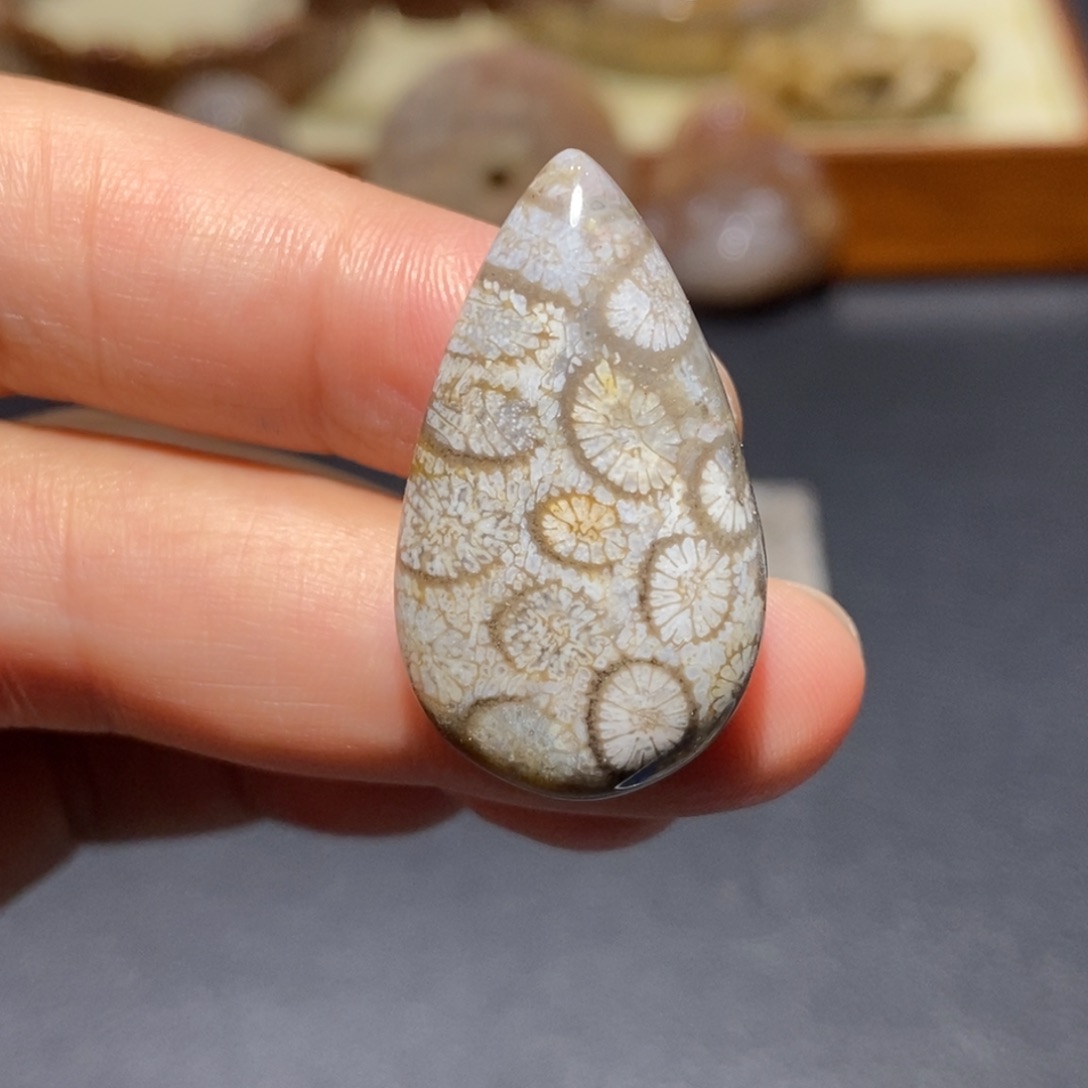 【闪购商品】未镶嵌珊瑚玉硅化玉