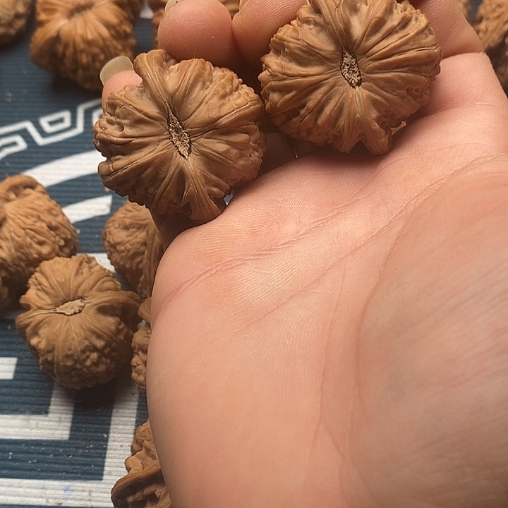 人***海文玩核桃吊坠白狮子白狮子