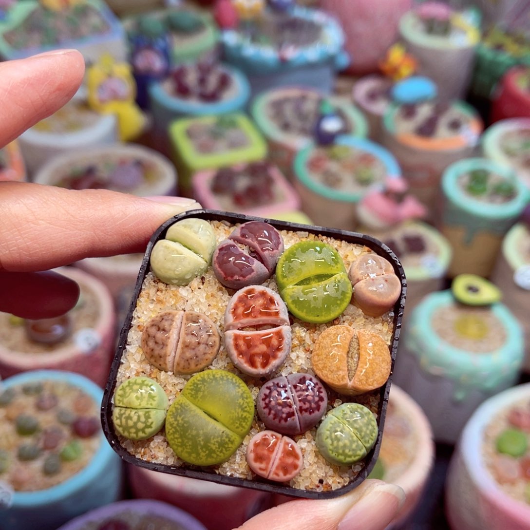 008。88888888888888888