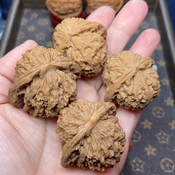 核桃文玩核桃白狮子