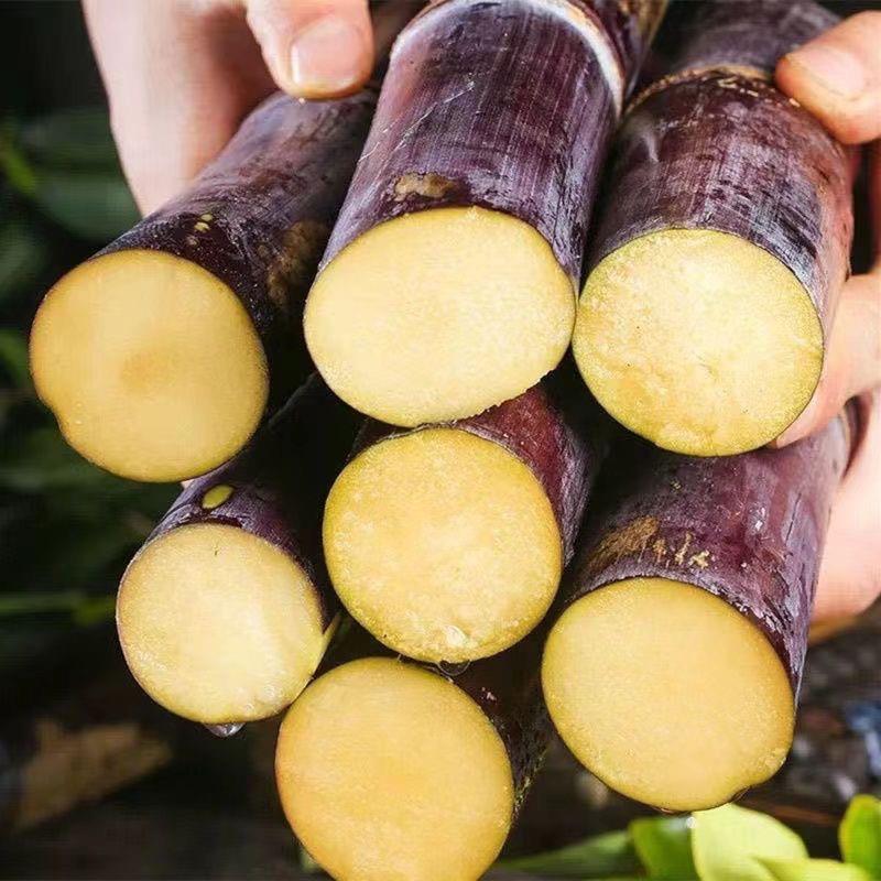 广西新鲜黑皮甘蔗热带水果当季整甜杆脆皮特产食用