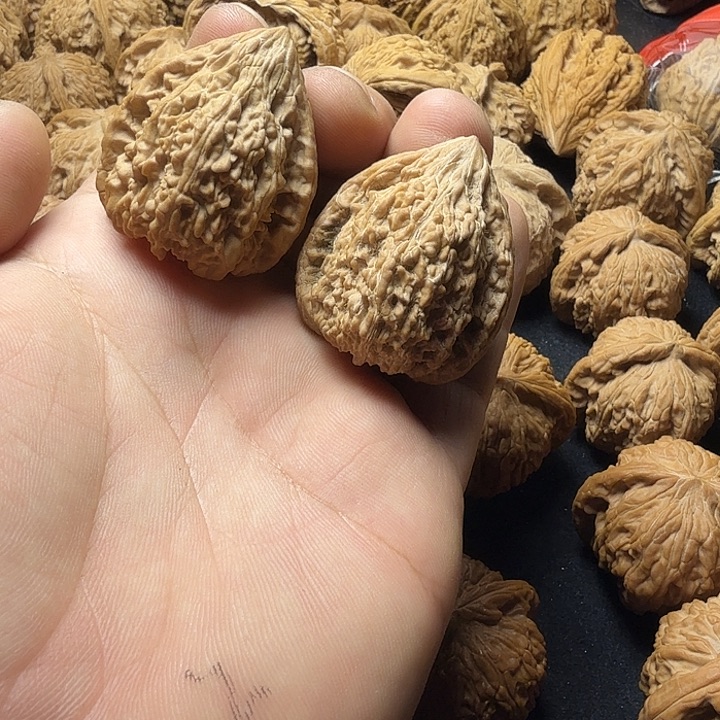 35全品无修精品塔尖