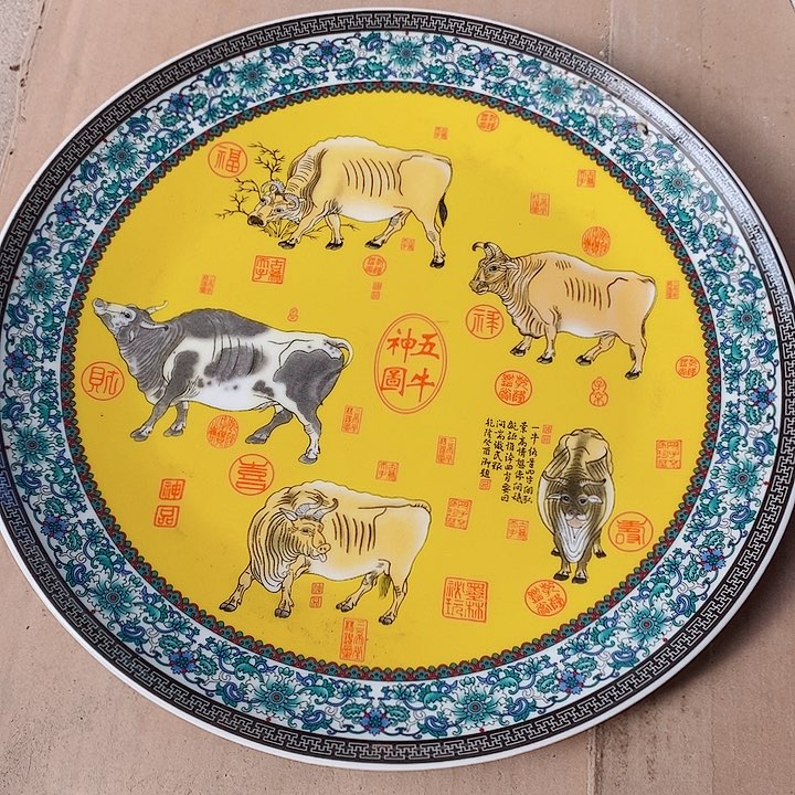瓷片我们都市生活就是
