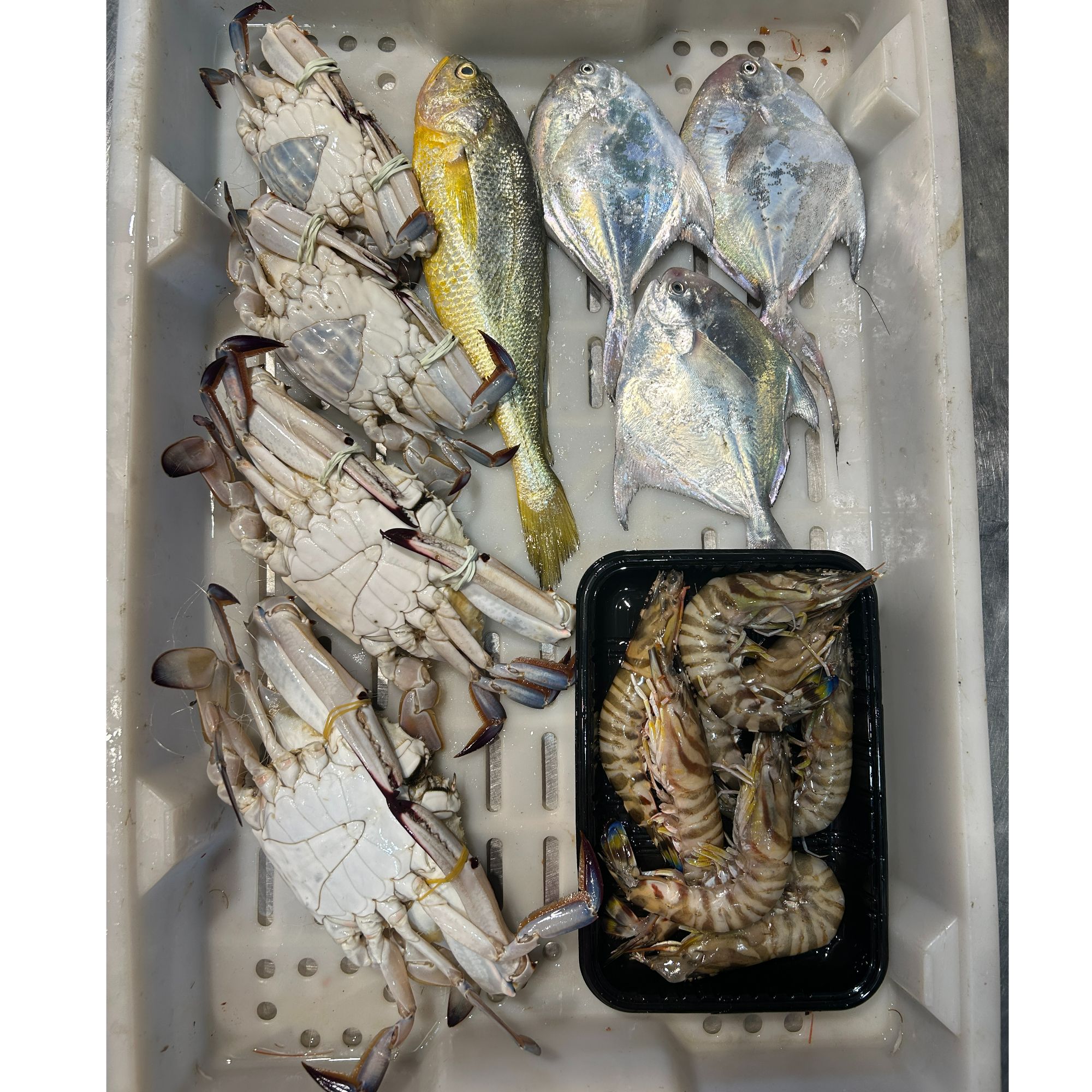 舟山野生高品质套餐