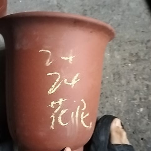 红泥特大金钟一个花泥